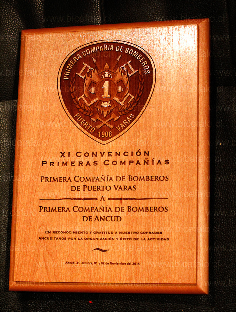 Galvano Madera Rauli