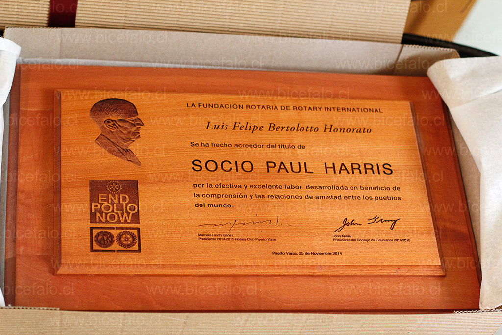 Galvano Madera Rauli