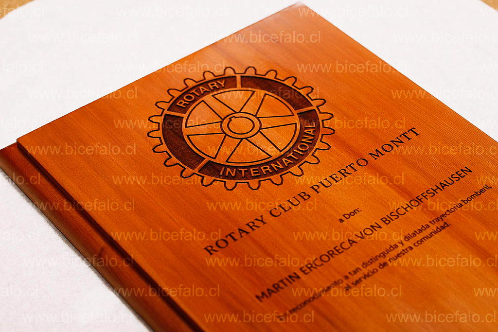 Galvano Madera Alerce pulido