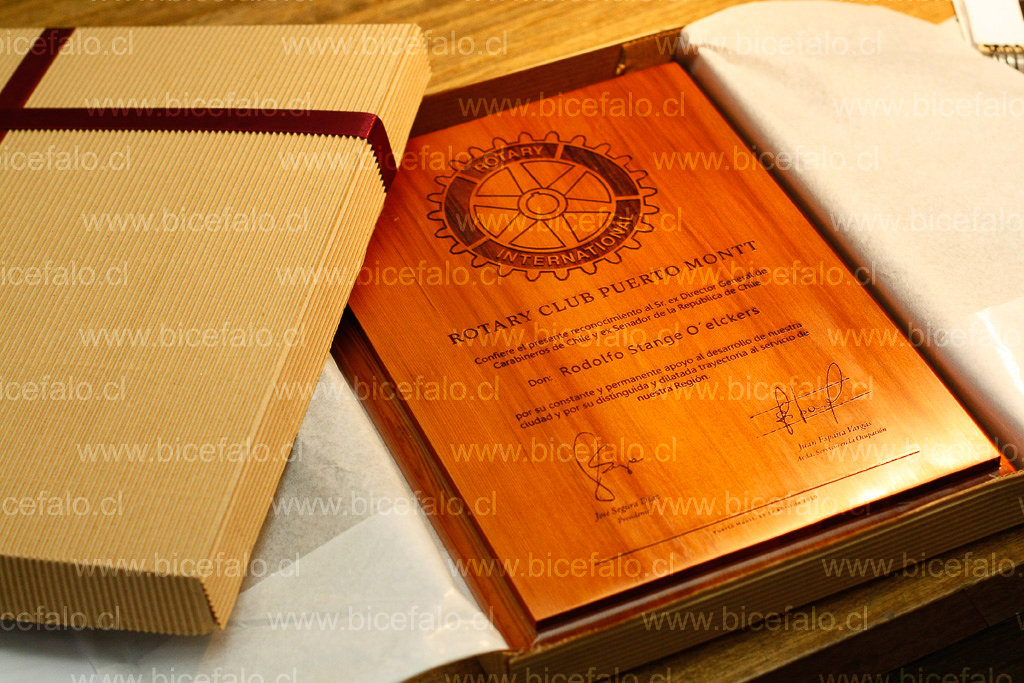 Galvano Madera Alerce pulido