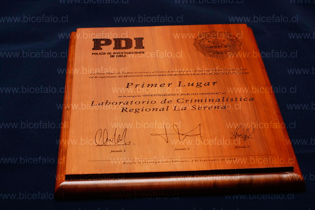 galvano Madera Alerce